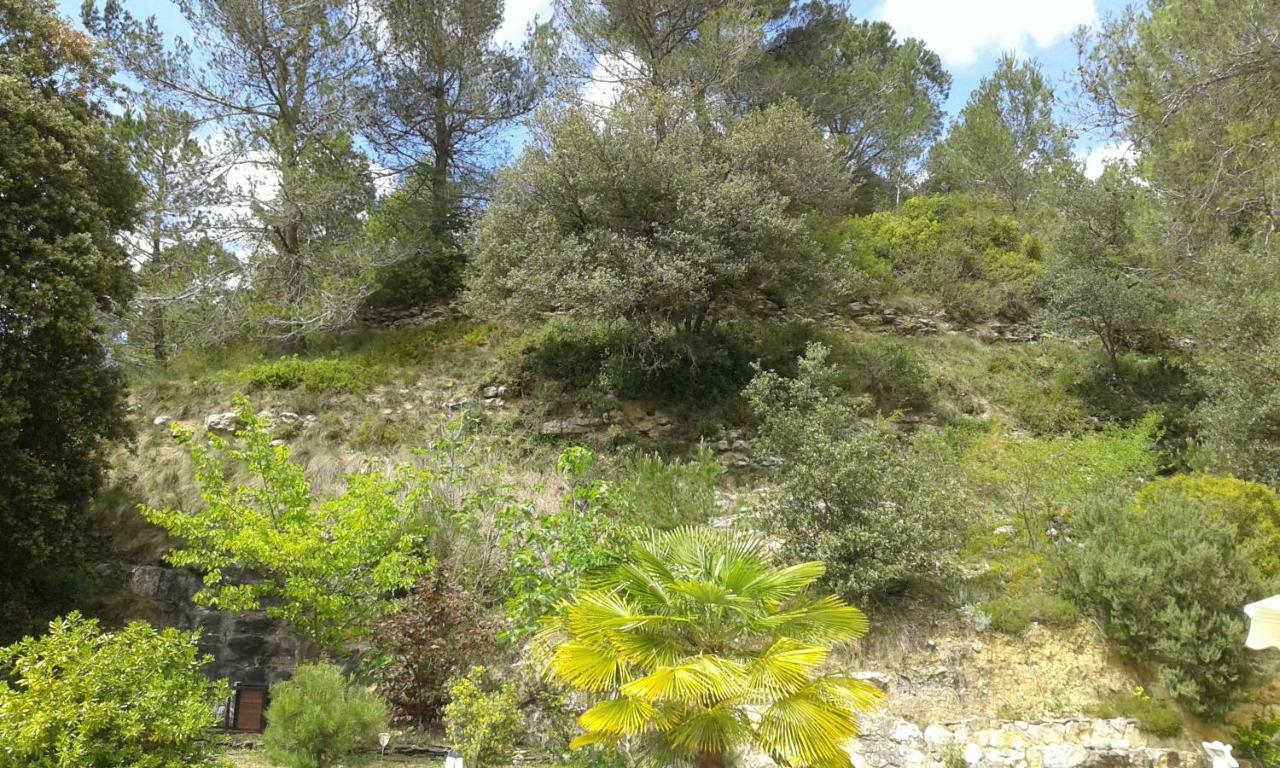 Gite Sud De France-Carcassonne Chez Lea Aragon Exterior foto